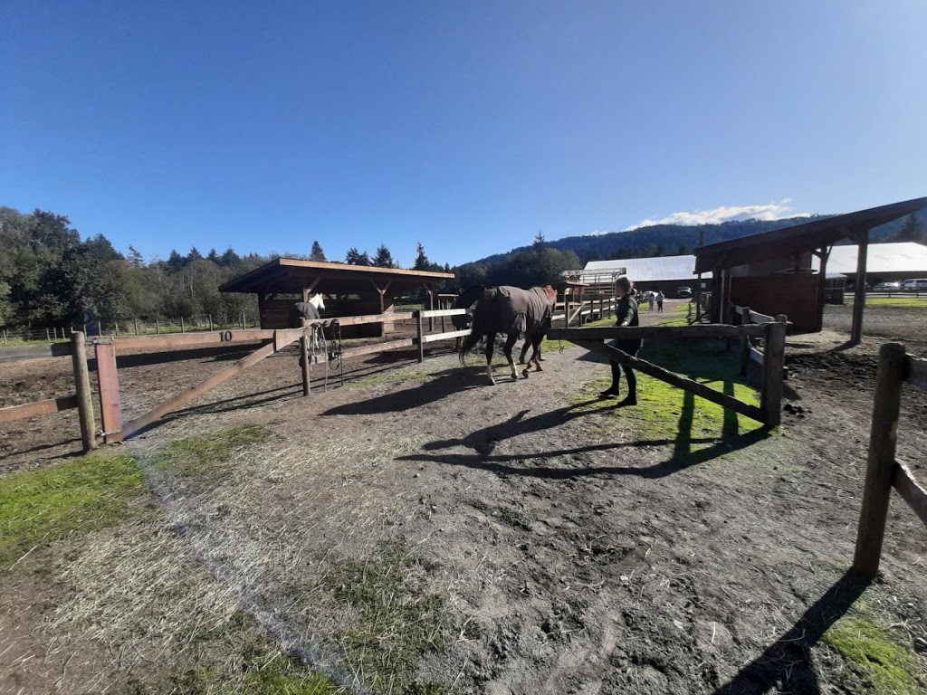 Pyramid Stables | 7581 Harby Rd W, Lantzville, BC V0R 2H0, Canada | Phone: (250) 390-7631