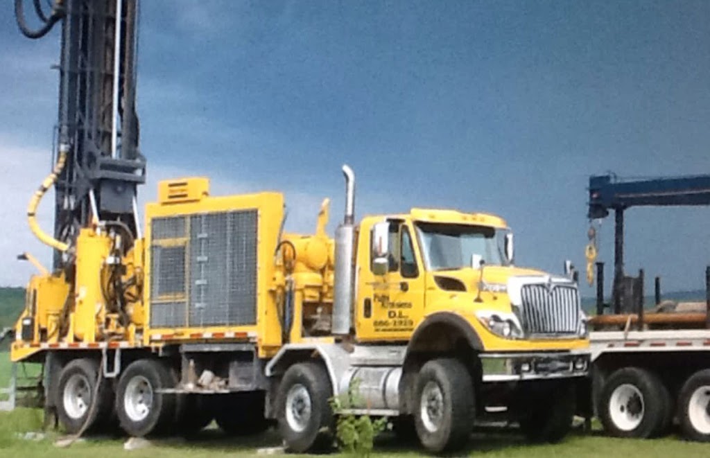 Puits artésien d-l inc | 1211 Route Louis-Cyr, Saint-Jean-de-Matha, QC J0K 2S0, Canada | Phone: (450) 886-2929