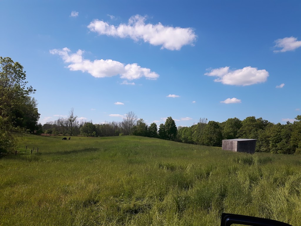 Pine Hollow Stables | 1738 Clyde Rd, Cambridge, ON N1R 5S7, Canada | Phone: (519) 620-3855