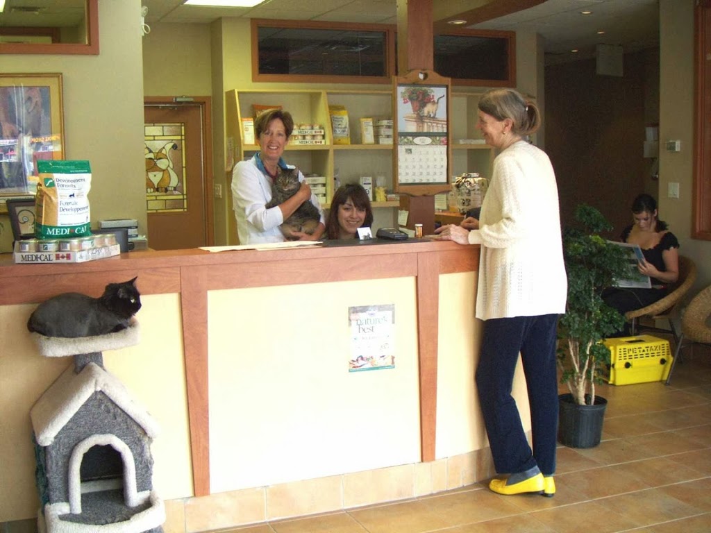Guildcrest Cat Hospital | 2452 Kingston Rd, Scarborough, ON M1N 1V3, Canada | Phone: (416) 267-4697