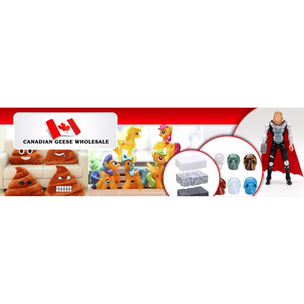 Canadian Geese Wholesale | 15 Hawkswood Trail, Hamilton, ON L9B 2P3, Canada | Phone: (905) 515-9779