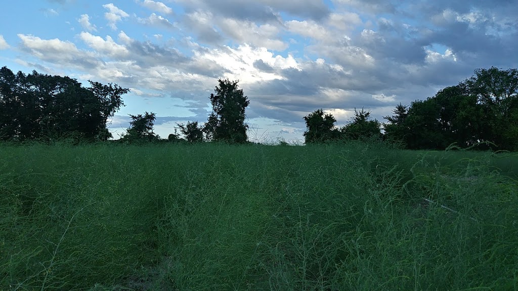Rideau Pines Farm and Market | 5714 Fourth Line Rd, North Gower, ON K0A 2T0, Canada | Phone: (613) 489-3601
