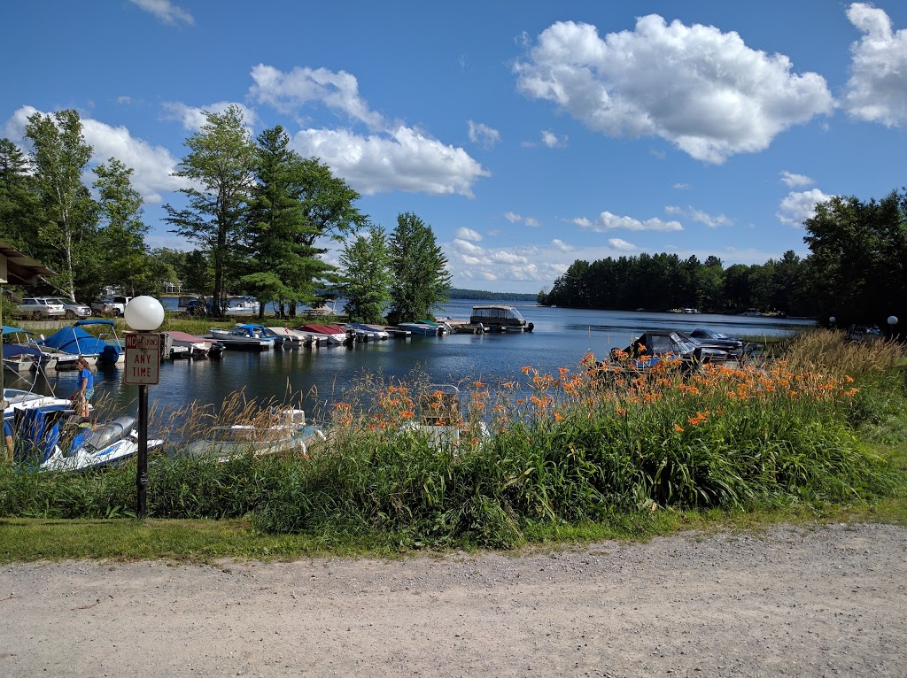 Little Gull Marina - 144 Mississauga Lake Rd, Trent Lakes, ON K0L 1J0 ...