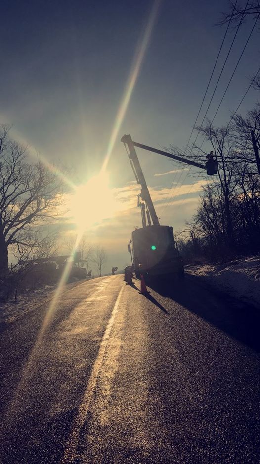 Quality Tree Service | 43 Alice St, Acton, ON L7J 2A9, Canada | Phone: (905) 873-6982