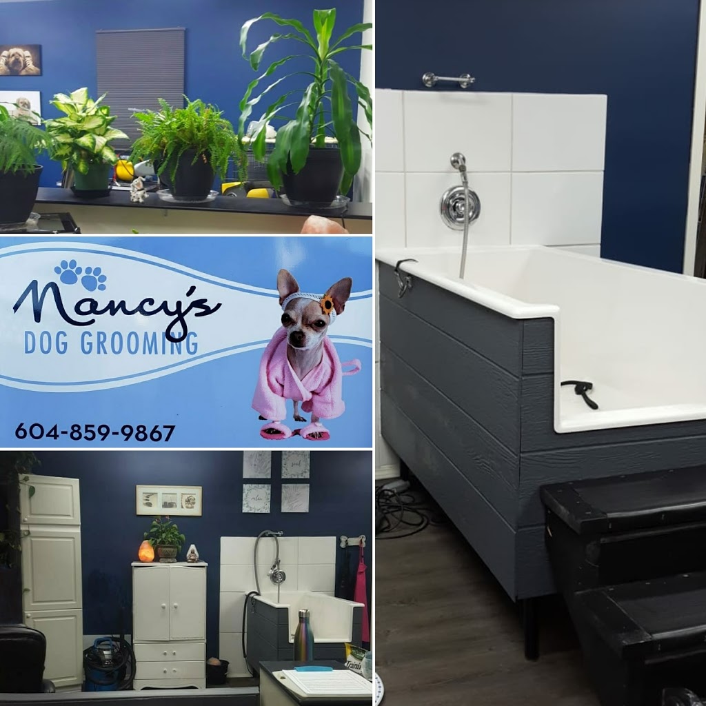 Nancys Dog Grooming | 3947 Waterton Crescent, Abbotsford, BC V3G 1J8, Canada | Phone: (604) 859-9867