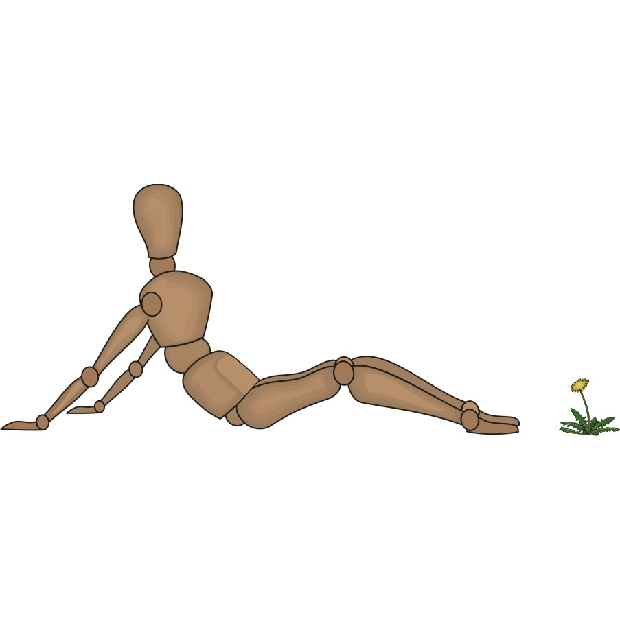 Primary Connections Massage Therapy | 5024 53 Ave, Tofield, AB T0B 4J0, Canada | Phone: (780) 662-4498