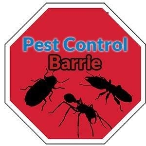 Pest Control Barrie | 454 Bayfield St, Barrie, ON L4M 5A2, Canada | Phone: (705) 812-1412