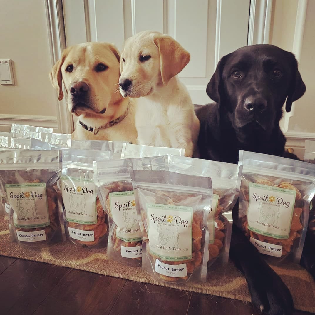 Spoil The Dog Bakery | 4 Hachborn St W, St. Jacobs, ON N0B 2N0, Canada | Phone: (519) 664-1724