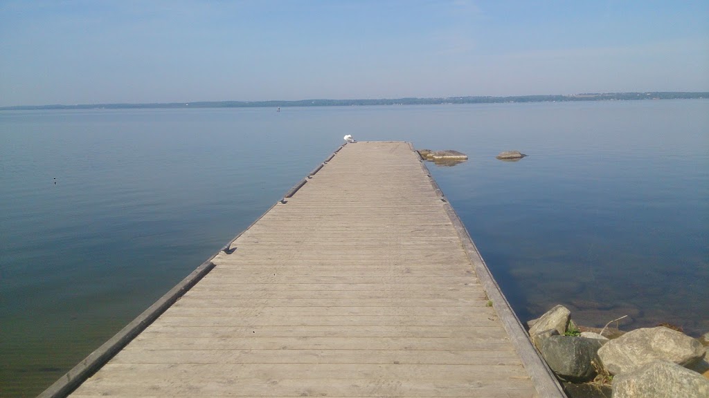 Savocon Contracting | Innisfil, ON L0L 1W0, Canada | Phone: (905) 251-3924