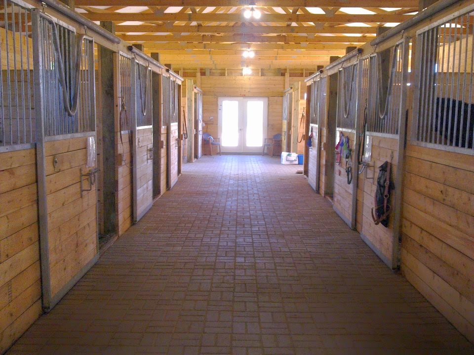 Belle Wood Equestrian Centre | 2745 Concession Rd 6, Greenwood, ON L0H 1H0, Canada | Phone: (905) 995-3109