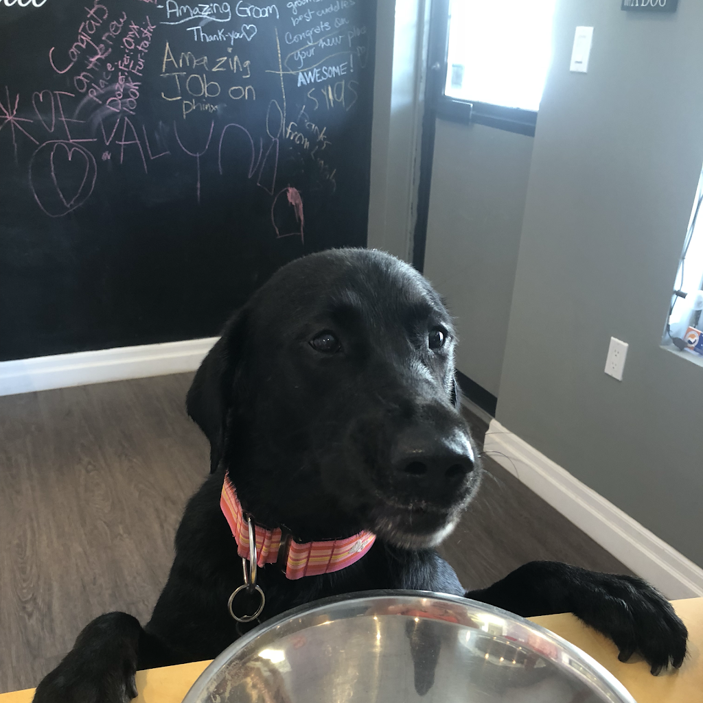 Poochie Girl Dog Grooming | 6 Mill St, Almonte, ON K0A 1A0, Canada | Phone: (613) 256-6624