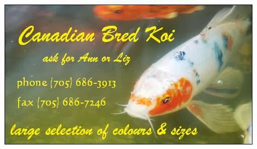Garden Scents and Koi | 1819 Taylor Line, Coldwater, ON L0K 1E0, Canada | Phone: (705) 686-3913