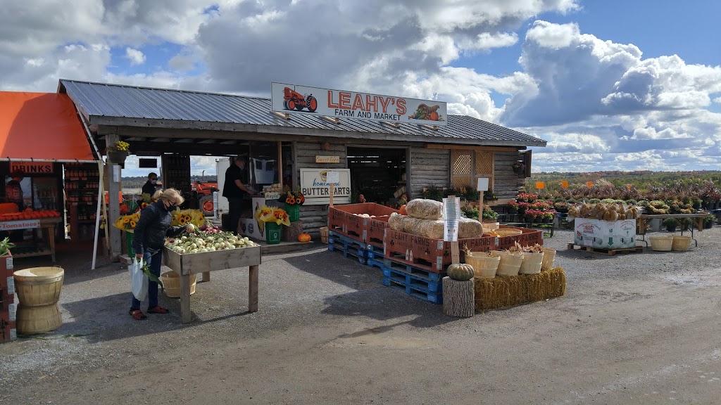 Leahys Farm and Market | 1213 Block Rd, Lakefield, ON K0L 2H0, Canada | Phone: (705) 761-9029