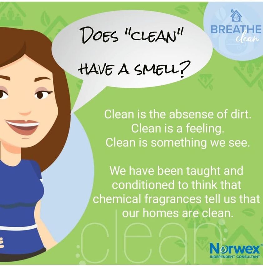 https://sarahpierce.norwex.biz/en_CA/ | 31 Bank St, Tupperville, ON N0P 2M0, Canada | Phone: (519) 466-1853