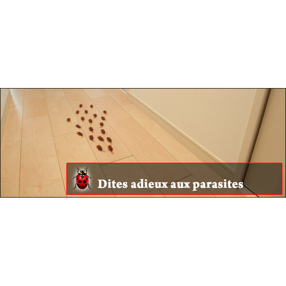 Bio Pro Extermination Inc | 220 Rue Panoramique, Chicoutimi, QC G7J 4B7, Canada | Phone: (418) 696-3141