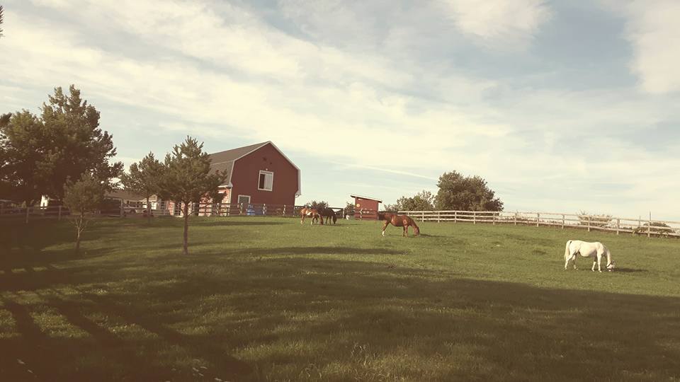 The Big Red Barn Creativity and Wellness Centre | 7171 2 Line, Tottenham, ON L0G 1W0, Canada | Phone: (905) 936-3956