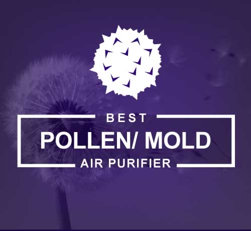 AB DISINFECT | 28 B Windsor Gate, Sylvan Lake, AB T4S 2H2, Canada | Phone: (587) 217-5922