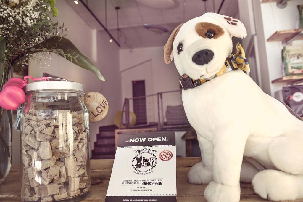 No Bones About It | 155 Main St, Toronto, ON M4E 2V9, Canada | Phone: (416) 474-4495