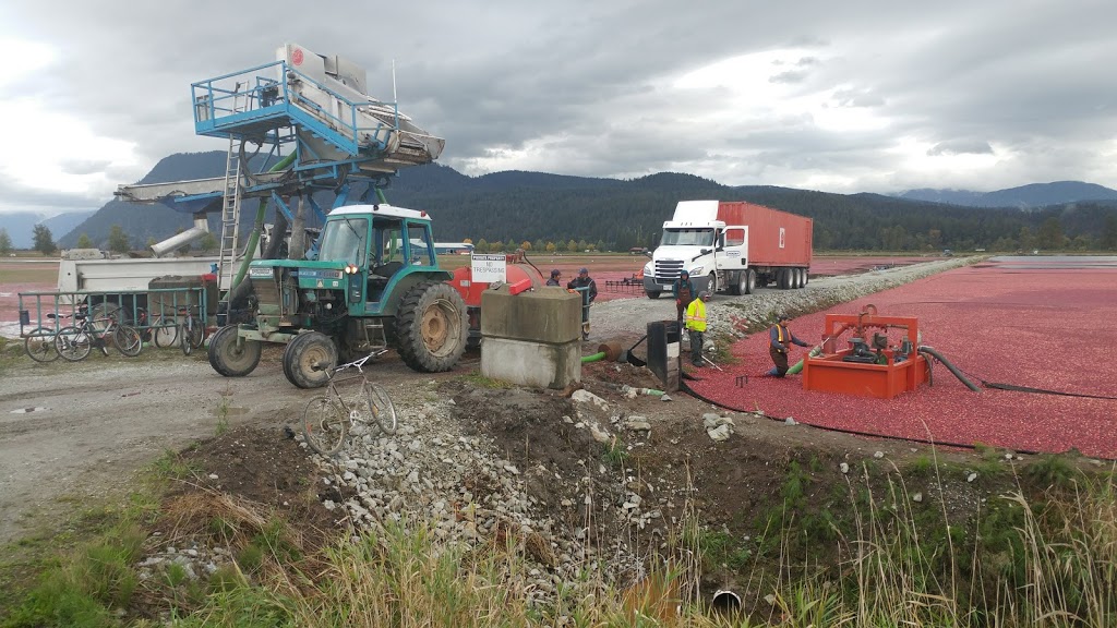 Caspian Apiaries | 15025 Neaves Rd, Pitt Meadows, BC V3Y 1Z1, Canada | Phone: (778) 512-9260