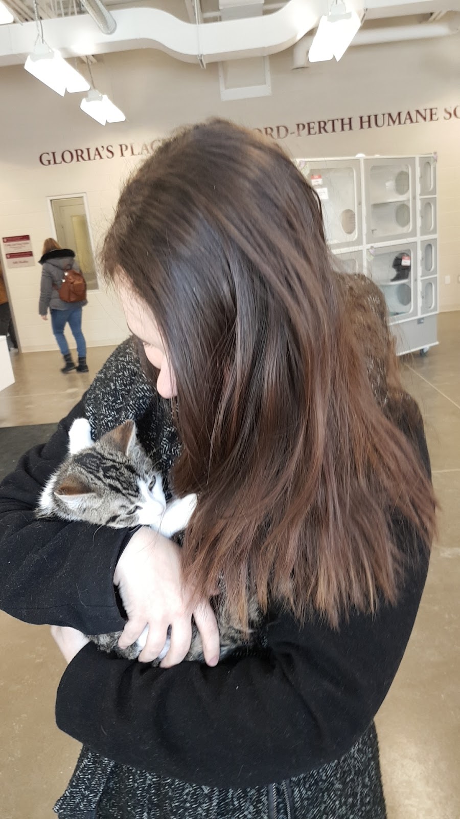Stratford-Perth Humane Society | 125 Griffith Rd, Stratford, ON N5A 6S4, Canada | Phone: (519) 273-6600