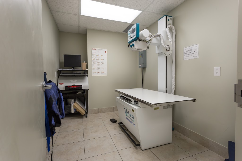 Billings Bridge Animal Hospital | 1220 Rooneys Ln, Ottawa, ON K1H 1C2, Canada | Phone: (613) 737-5007