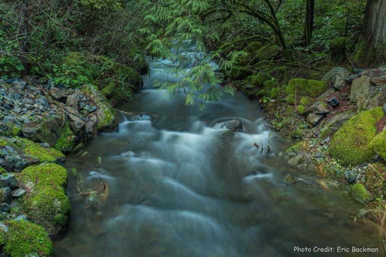 Mary Lake Nature Sanctuary | 1772 Millstream Rd, Victoria, BC V9B 6E4, Canada | Phone: (250) 478-5858