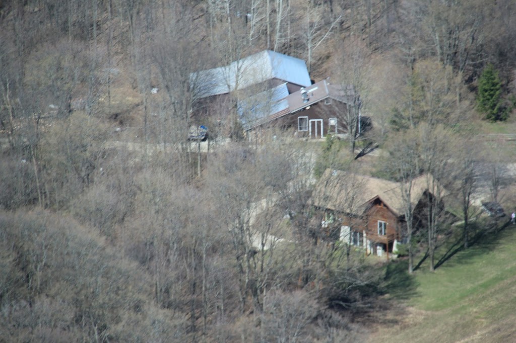 Thomas Sugarbush | 553832 Glenelg Rd 23, Priceville, ON N0C 1K0, Canada | Phone: (226) 600-6085