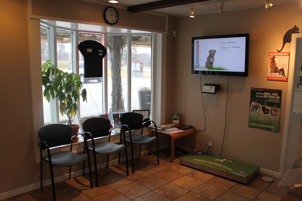 Bucksburn Veterinary Hospital | 2078 Upper Middle Rd E, Oakville, ON L6H 7G5, Canada | Phone: (905) 257-7777