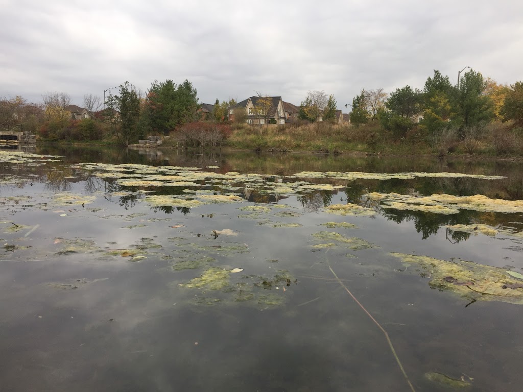 Stormwater Management Pond | Great Lakes Blvd, Oakville, ON L6L, Canada