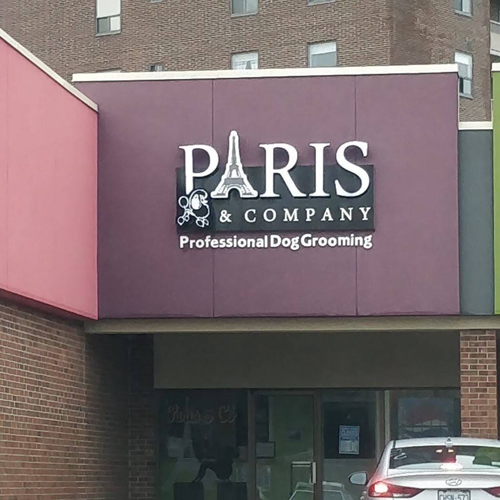 Paris and Company Professional Dog Grooming | 1144 Courtland Ave E, Kitchener, ON N2C 2H5, Canada | Phone: (519) 584-7387