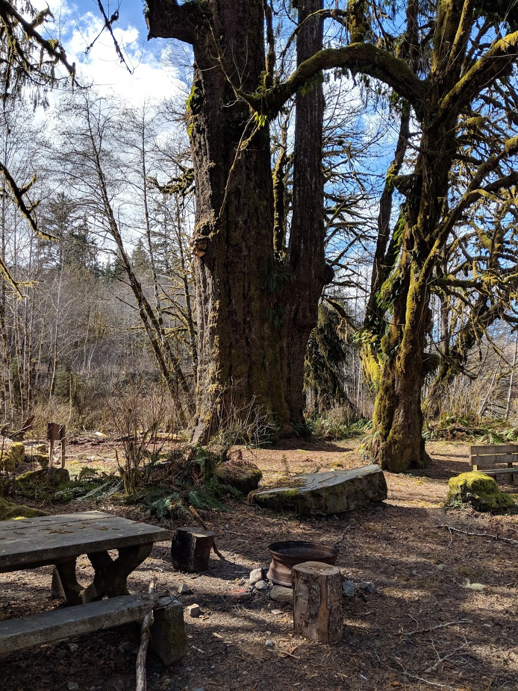 San Juan River Campsite | Juan de Fuca, BC V0S, Canada | Phone: (250) 701-1976