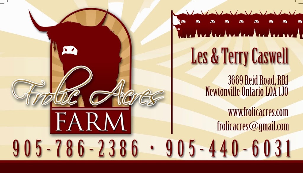 Frolic Acres Farm | 3669 Reid Rd, Newtonville, ON L0A 1J0, Canada | Phone: (905) 440-6031