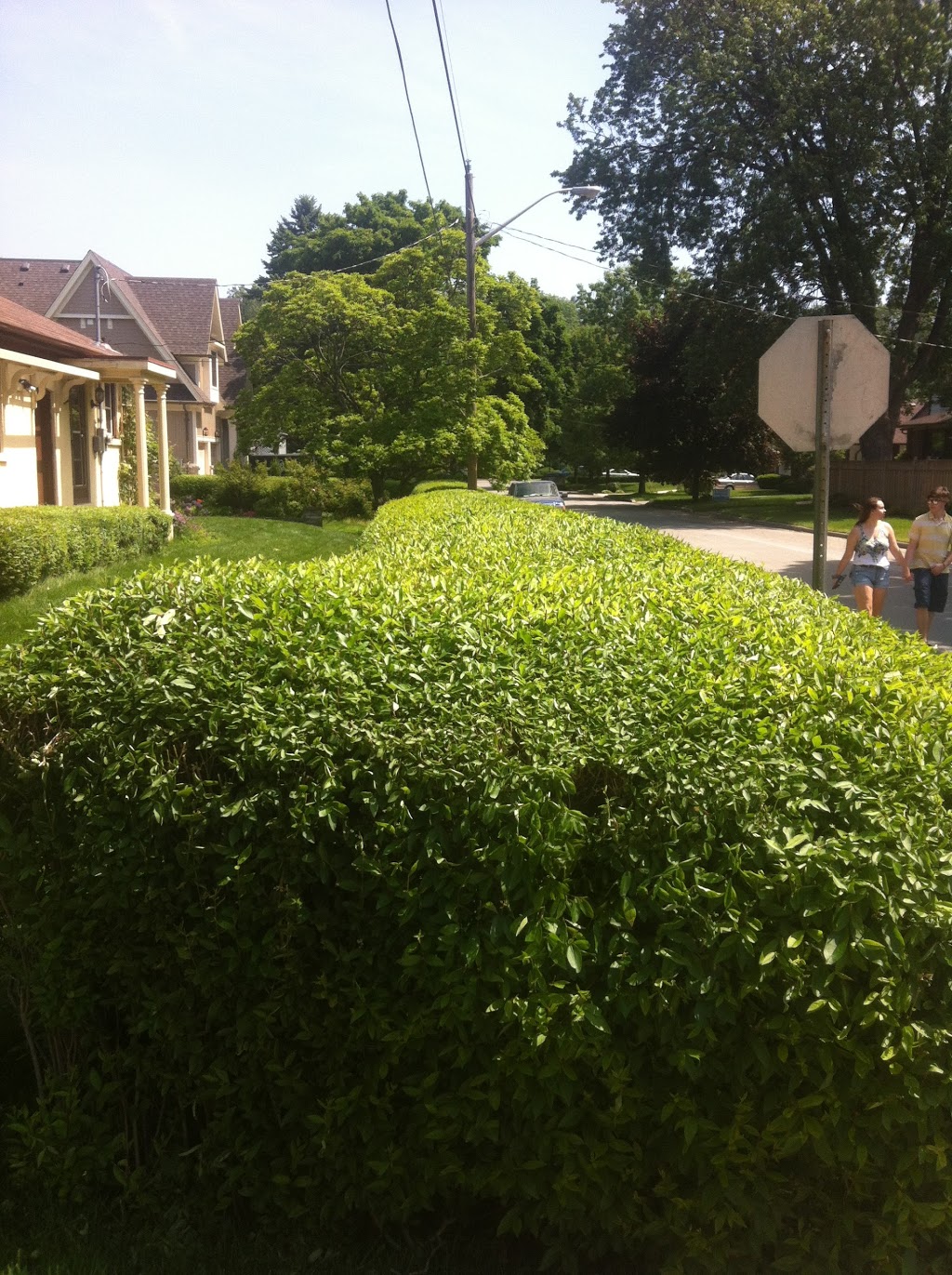The Garden Artist | 2655 Bloor St W #301, Etobicoke, ON M8X 1A3, Canada | Phone: (905) 330-6226