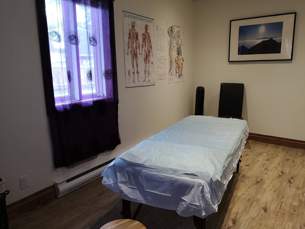 Catalin Ostéopathe Mont Tremblant | 1575 QC-117, Mont-Tremblant, QC J8E 2X9, Canada | Phone: (450) 675-7505
