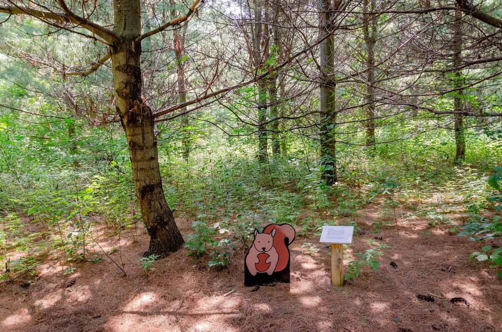 Kinderwood Trail | Kemptville, ON K0G 1J0, Canada