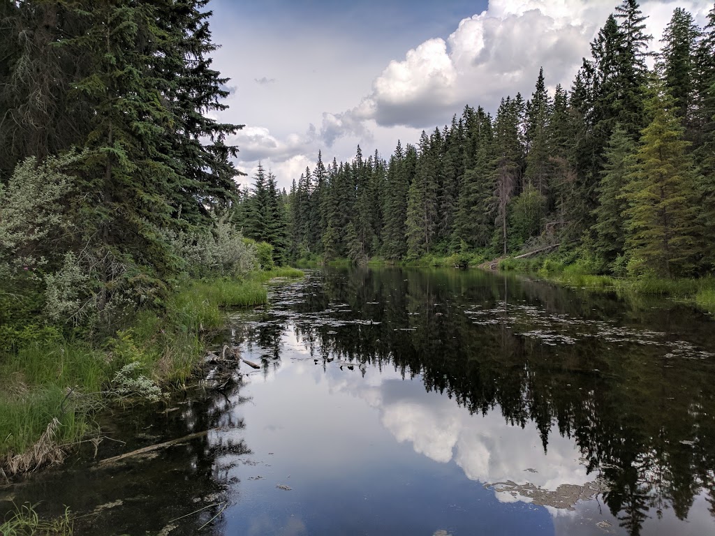 Twin Brooks District & Nature Park | 1510 119 St NW, Edmonton, AB T6J 7H6, Canada