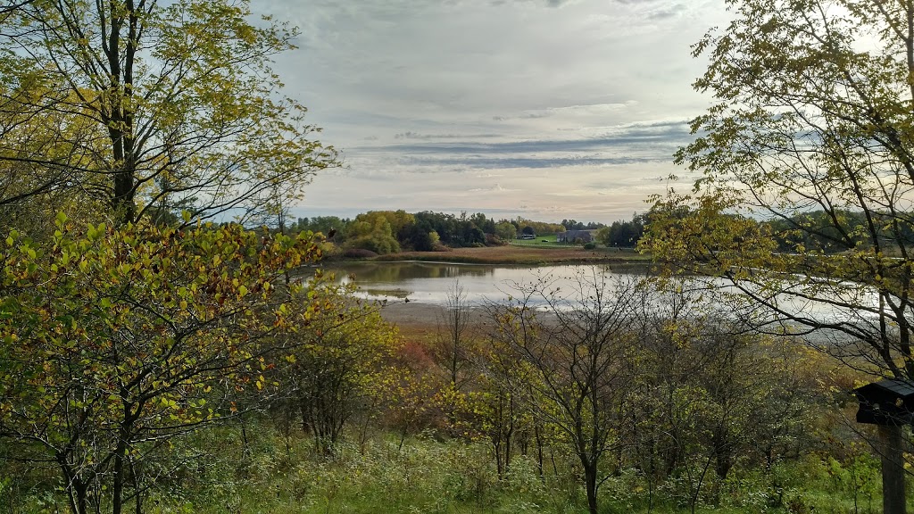 Binbrook Conservation Area Main Entrance | 5050 Harrison Rd, Binbrook, ON L0R 1C0, Canada | Phone: (905) 692-3228
