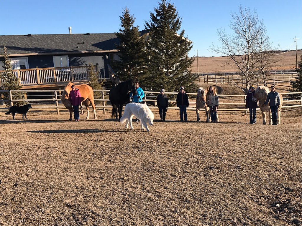 Glendale Ranch | 33020 Township Rd 272, Alberta T4C 1A2, Canada | Phone: (403) 479-2936