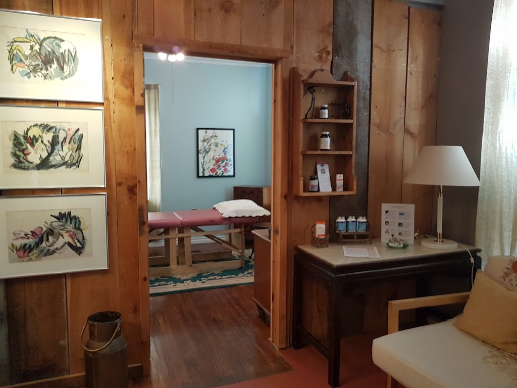 Good Vibrations Neurofeedback | 79 King St, Thedford, ON N0M 2N0, Canada | Phone: (519) 639-8453