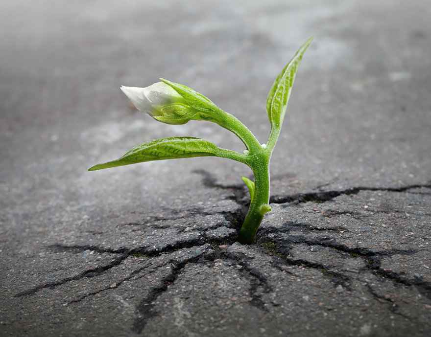 Tracey Black-Black Counselling and Consulting Services | 4327 54 Ave #204, Red Deer, AB T4N 4L9, Canada | Phone: (403) 598-7451