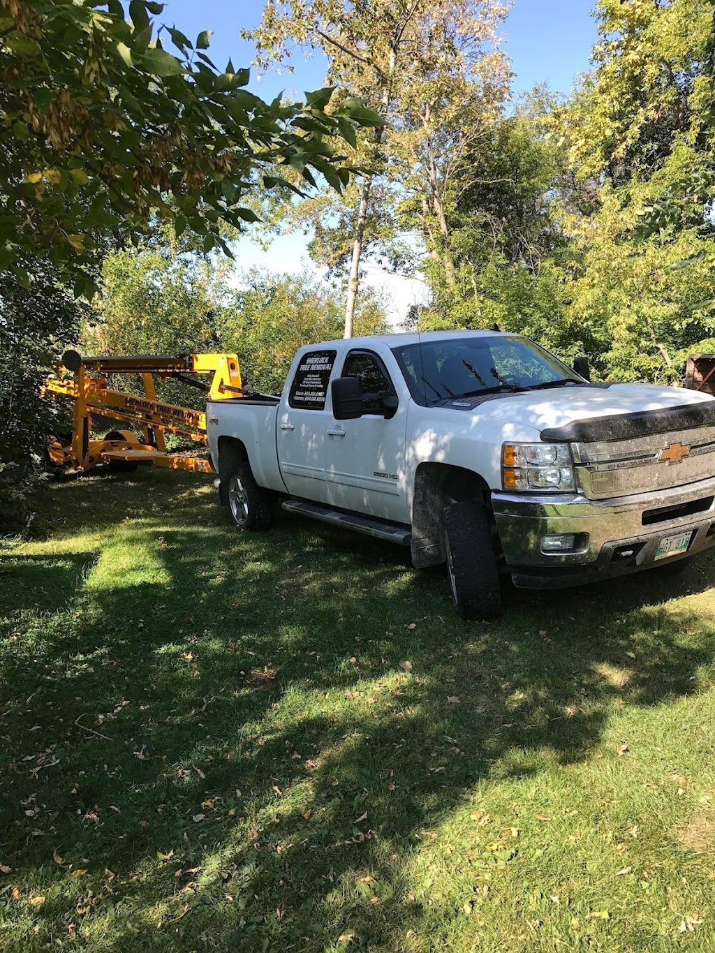Sherlock Tree Removal | 26 1 St W, Inwood, MB R0C 1P0, Canada | Phone: (204) 861-0487