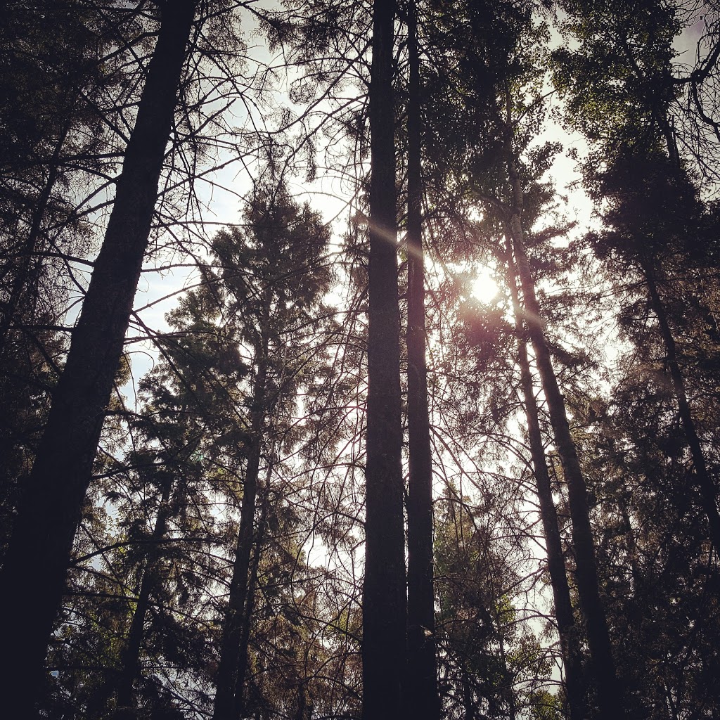 Beaver Hills Biodiversity Trail | Strathcona County, AB T8G 2C8, Canada | Phone: (780) 464-8117