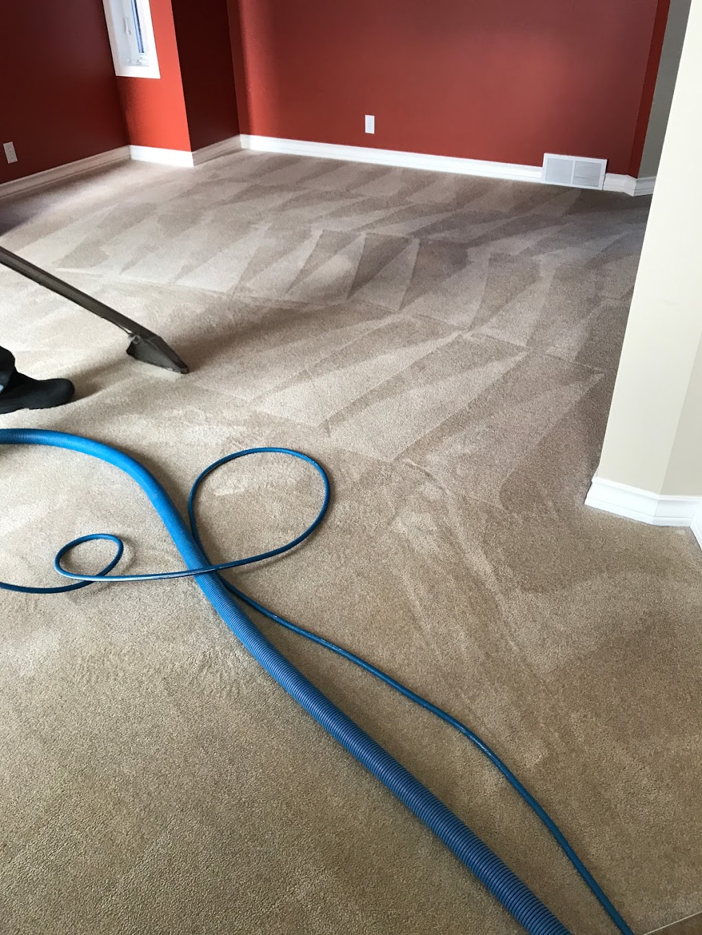 Rocky Star Steam Carpet | 407 Manora Dr NE, Calgary, AB T2A 4R2, Canada | Phone: (403) 870-9364