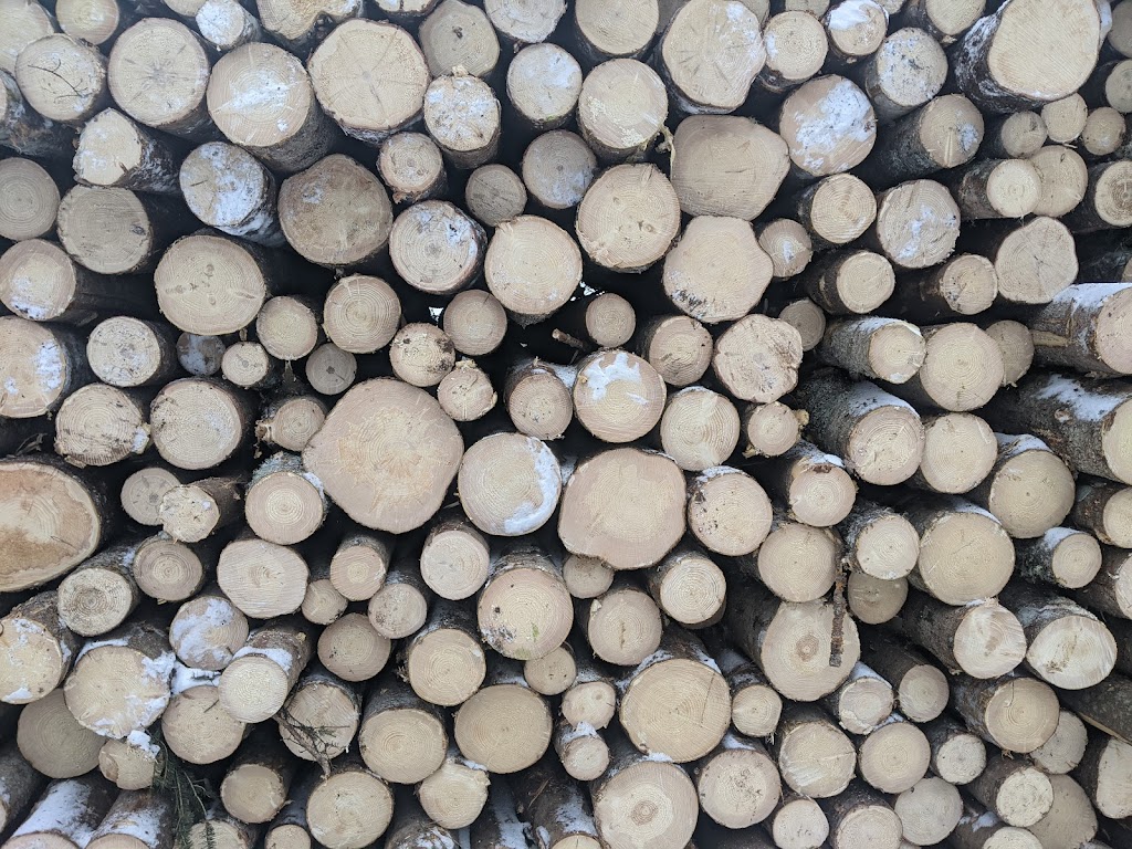 East Coast Timberjack | Kellys Cross, 1440 PE-13, North Wiltshire, PE C0A 1Y0, Canada | Phone: 314-2117