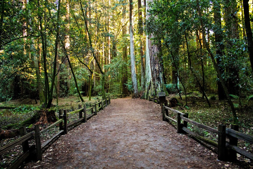 Pathway Legal - Divorce and Family Law | 2745 Veterans Memorial Pkwy #123, Victoria, BC V9B 0H4, Canada | Phone: (250) 220-8686