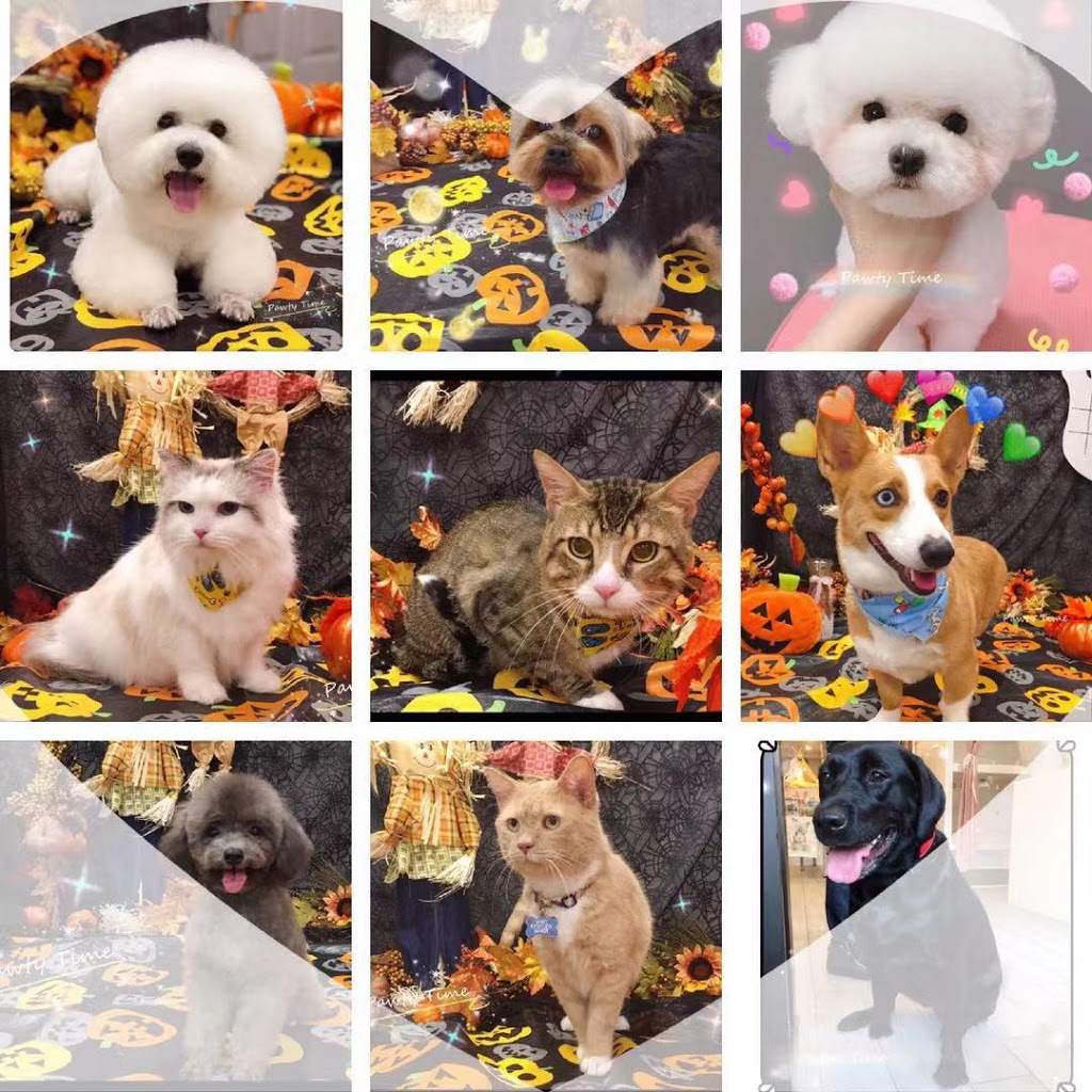 Pawty Time Pet Club | 4441 Hwy 7, Unionville, ON L3R 1M1, Canada | Phone: (905) 604-6797