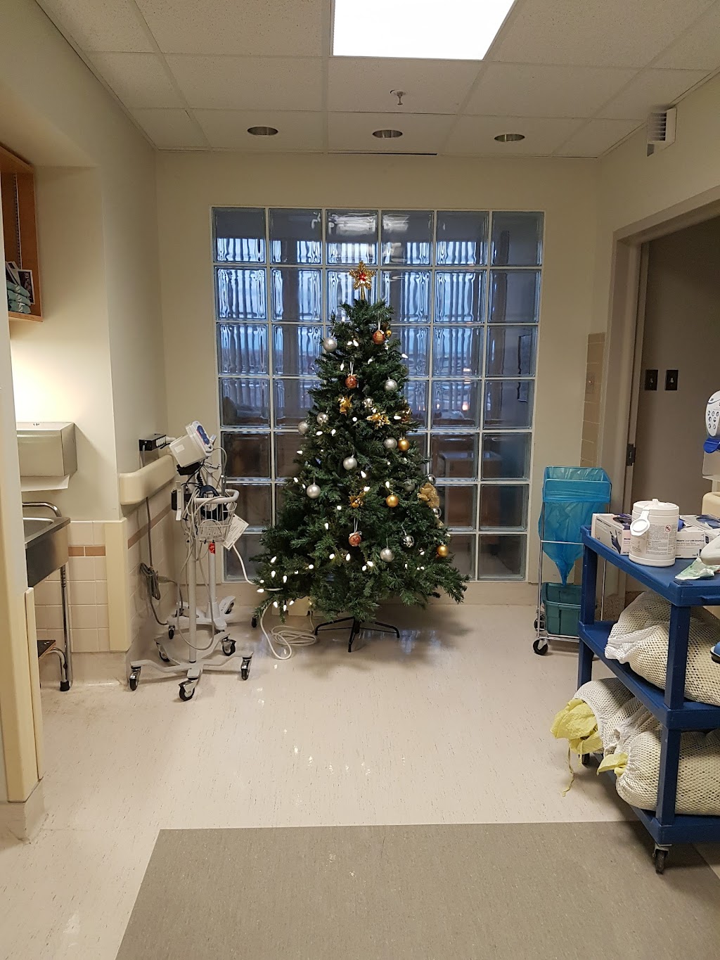 McCaig Tower | 3260 Hospital Dr NW, Calgary, AB T2N 4Z6, Canada | Phone: (403) 944-1110