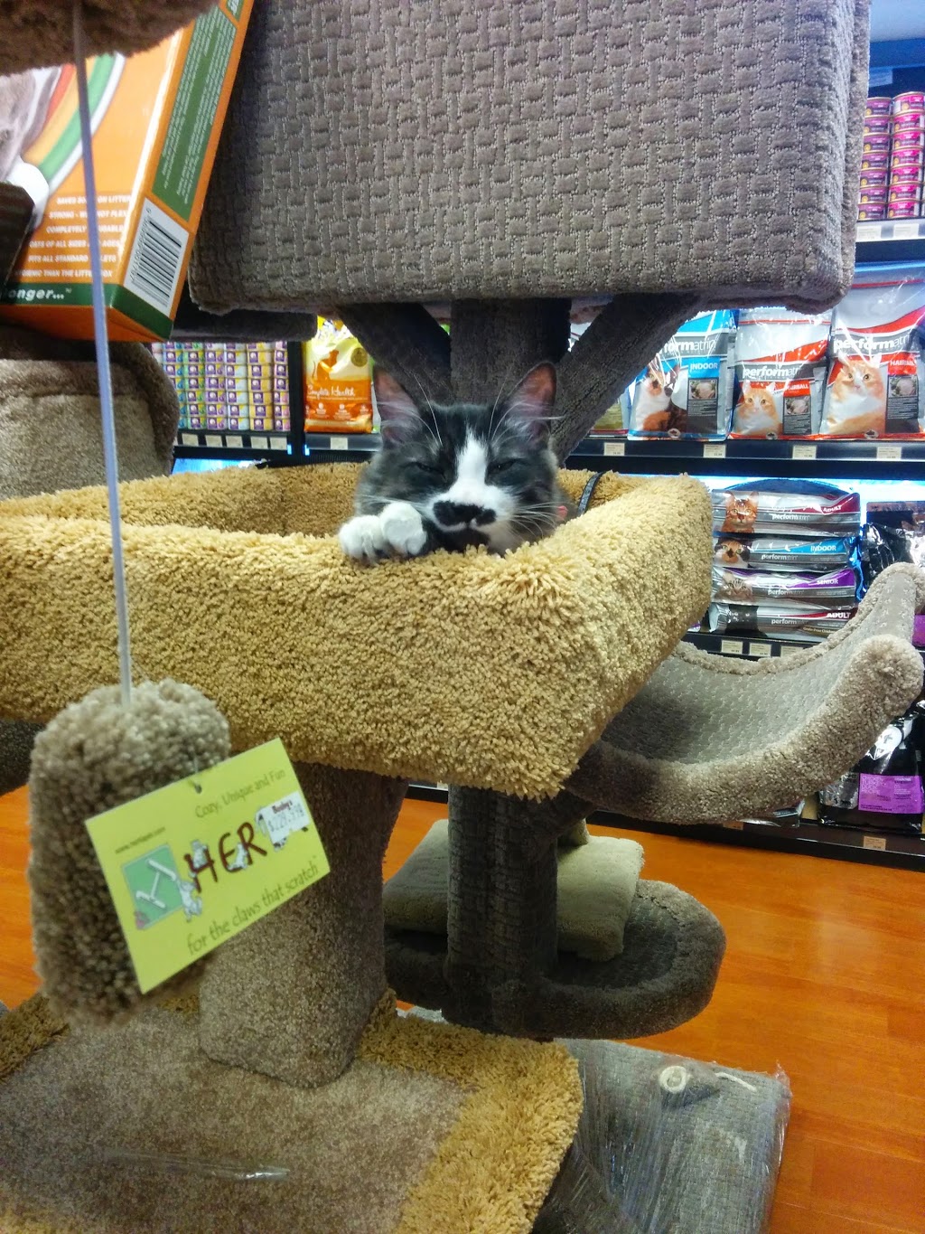 Bosleys by Pet Valu | 15428 Fraser Hwy #106, Surrey, BC V3R 3P5, Canada | Phone: (604) 589-4211