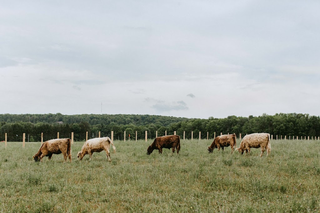 Creamery Hill Farms | 122600, Grey County Rd 5, Owen Sound, ON N4K 5N6, Canada | Phone: (226) 343-4763