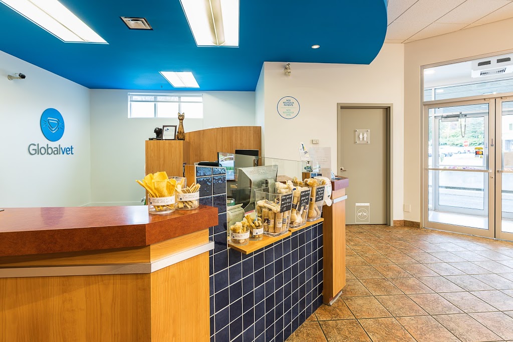 Globalvet - Veterinary Clinic Loretteville | 10935 Boulevard de lOrmière, Québec, QC G2B 3L5, Canada | Phone: (418) 842-5048